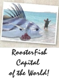 Sportfishing Las Arenas La Paz Baja Mexico Roosterfish